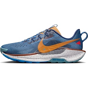 Nike Mens Pegasus Trail 5 GORE-TEX Waterproof