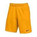 Nike Youth Park III Shorts