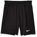 Nike Youth Park III Shorts