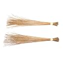 Nilavan Coconut Broom Stick for Wet Floor Cleaning | Seekh Jhaadu with Strong Binding | Long Lasting Grass Broom for Bathroom, Outdoor &amp; Indoor Use | Standard Size 32–35 Inches - 3 Nos