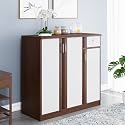Nilkamal Baylor Engineered Wood Shoe Cabinet | Shoe Rack | Shoe Stand with 5 Shelves and 1 Drawer Compartable Upto 11 Pairs Shoes (Finish: Walnut/White)