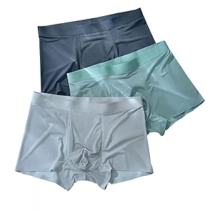 Mens Briefs Boxers Ice Silk Briefs