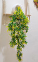 Nimkar's Hanging with Apple pot Bonsai Artificial Plant  with Pot (50 cm, Green)