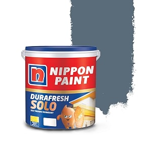 Nippon Paint Durafresh Solo Exterior Emulsion Paint