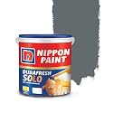 Nippon Paint Durafresh Solo Exterior Emulsion Paint