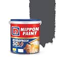 Nippon Paint Durafresh Solo Exterior Emulsion Paint