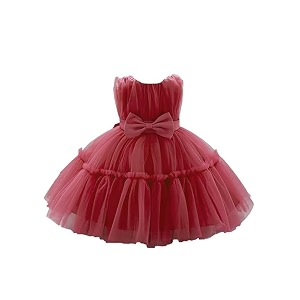 Niren Enterprise Buggu Net Flared Ruffle Pattern