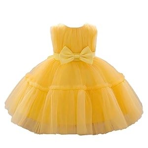Niren Enterprise Buggu Net Flared Ruffle Pattern