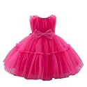 Niren Enterprise Buggu Net Flared Ruffle Pattern