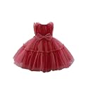 Niren Enterprise Buggu Net Flared Ruffle Pattern