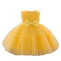 Niren Enterprise Buggu Net Flared Ruffle Pattern