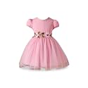 Niren Enterprise Girls Lilac Flower Waist Tulle