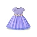 Niren Enterprise Girls Lilac Flower Waist Tulle