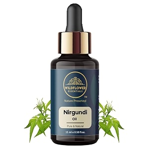 nirgundi oil for hair body massage fast absorbing joints pure amp natural 15ml