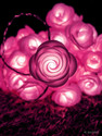 NISCO 20 LEDs 4 m Pink Steady