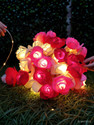 NISCO 20 LEDs 4 m Pink Steady