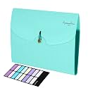 NISUN 7 Pocket Expanding File Folder, Accordion File Organizer with Labels, Letter Size Folders for Documents, Portable Filing Folder for School Home Office - Green