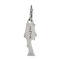 Nite Ize Doohickey Fishkey Key Tool, Silver Multi-tool Keychain Multi-tool