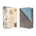NIV Application Bible, Leathersoft, Teal/Grey, Red Letter, Comfort Print: Bringing the Ancient Message of the Bible into Your World (NIV Application Commentary Resources)