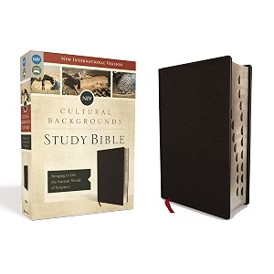 niv cultural backgrounds study bible indexed bonded leather new international version black bonded leather bringing to life the ancient world of scripture