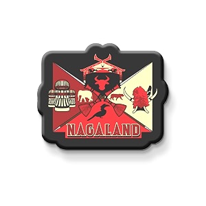 nivara indian state theme souvenir wooden fridge magnet for refrigerator-set of 1 multicolor