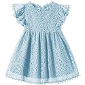 Niyage Toddler Girls Elegant Lace Pom Pom Flutter Sleeve Party Princess Dress