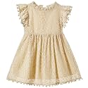 Niyage Toddler Girls Elegant Lace Pom Pom Flutter Sleeve Party Princess Dress