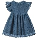 Niyage Toddler Girls Elegant Lace Pom Pom Flutter Sleeve Party Princess Dress