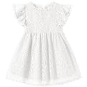 Niyage Toddler Girls Elegant Lace Pom Pom Flutter Sleeve Party Princess Dress
