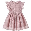 Niyage Toddler Girls Elegant Lace Pom Pom Flutter Sleeve Party Princess Dress