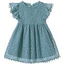 Niyage Toddler Girls Elegant Lace Pom Pom Flutter Sleeve Party Princess Dress