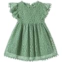 Niyage Toddler Girls Elegant Lace Pom Pom Flutter Sleeve Party Princess Dress
