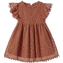 Niyage Toddler Girls Elegant Lace Pom Pom Flutter Sleeve Party Princess Dress