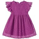Niyage Toddler Girls Elegant Lace Pom Pom Flutter Sleeve Party Princess Dress