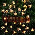 Honey Bee String Lights, 16 LEDs 13 Feet/4 M String Lights, Indoor/Outdoor Fairy Lights (Warm White,Corded Electric,Plastic)
