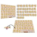 Gujarati Varnamala Peg Puzzle | Wooden Alphabet Board for Kids | Learn Gujarati Letters with Fun | Montessori Educational Toy (Ages 2-6) (GUJRATIAKSHAR)