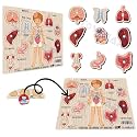 Alphabets Peg Puzzle – 26-Piece Wooden ABC Puzzle for Toddlers – Educational Learning Toy for Kids Ages 2+ – Colorful Letters with Peg Handles – Fun &amp; Interactive - with Characters