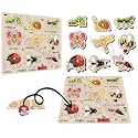 Wooden Insect Peg Puzzle for Kids | Montessori Educational Toy with Butterfly, Bee, Ant, Ladybug &amp; More | Early Learning Puzzle for Toddlers &amp; Preschoolers (Age 2+)