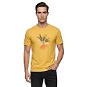 Nobero 100 Cotton T Shirts for Men