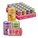 NoBiggie Variety Pack Sparkling Juice for Kids | 24-Pack Mini Cans