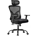 NOBLEWELL Ergonomic Office Chair with Padded Lumbar Support and 2D Headrest