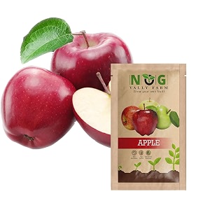 organic apple seeds for planting  non-gmo heirloom seeds high germination rate perfect for home gardening amp backyard orchards easy to grow 