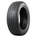 Nokian Tyres Remedy WRG5 205/50 R 17 93V XL All-Weather Tire