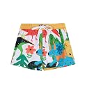Nonwe Men's Beachwear Quick Dry Striped Board Shorts