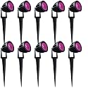 Nortek Hydra 5W Pink LED Garden Lights | Adjustable Spike Lights for Garden Decor | Rustproof Aluminum Die-Cast Body | IP65 Rated LED Garden Lights for Pathways, Terraces, and Walls Pack of 10