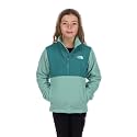 The North Face Boy's 200 Weight Tundra Pullover (Little Kids/Big Kids)