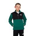 The North Face Boy's 200 Weight Tundra Pullover (Little Kids/Big Kids)