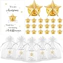 Nosiny Star Pins, Employee Appreciation Gift Inspirational Cards