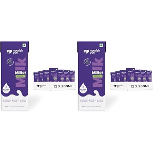 nourish you plant based millet mlk with goodness of ragi jowar bajra amp oats  dairy free  anti-biotics free  preservatives free  healthy vegan creamy mlk unsweetened  no-added sugar  24 l  200 ml each  12 