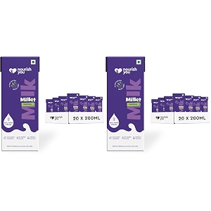 nourish you plant based millet mlk with goodness of ragi jowar bajra amp oats lactose free  dairy free  preservatives free  healthy vegan creamy mlk  no-added sugar  4 l 200 ml each  20